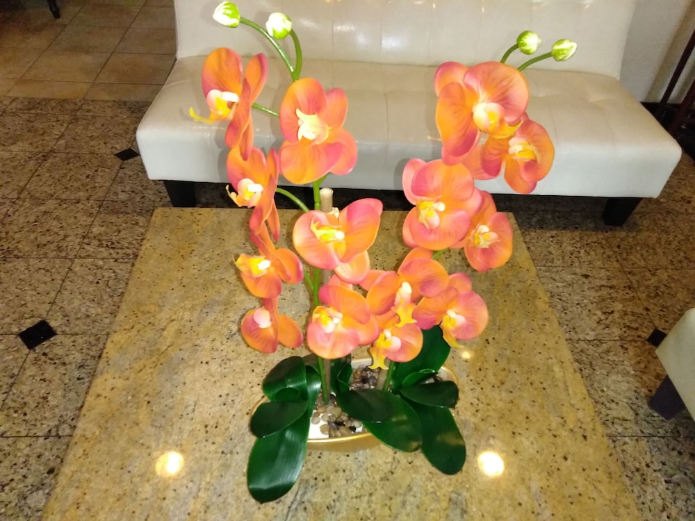 Athens Hotel Suites 46/69