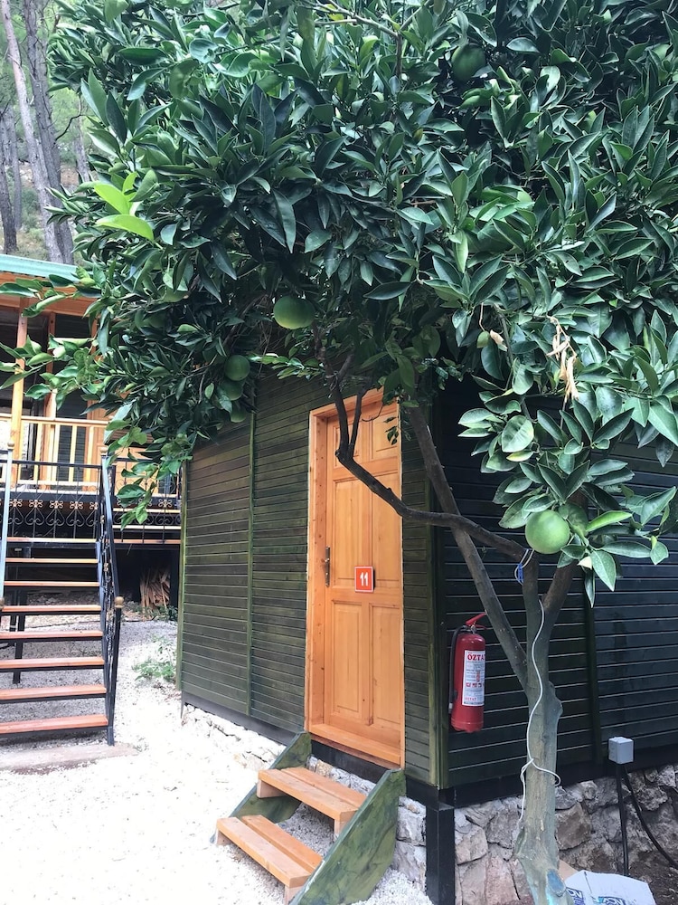 Olympos Tatilya Pansiyon 2/41