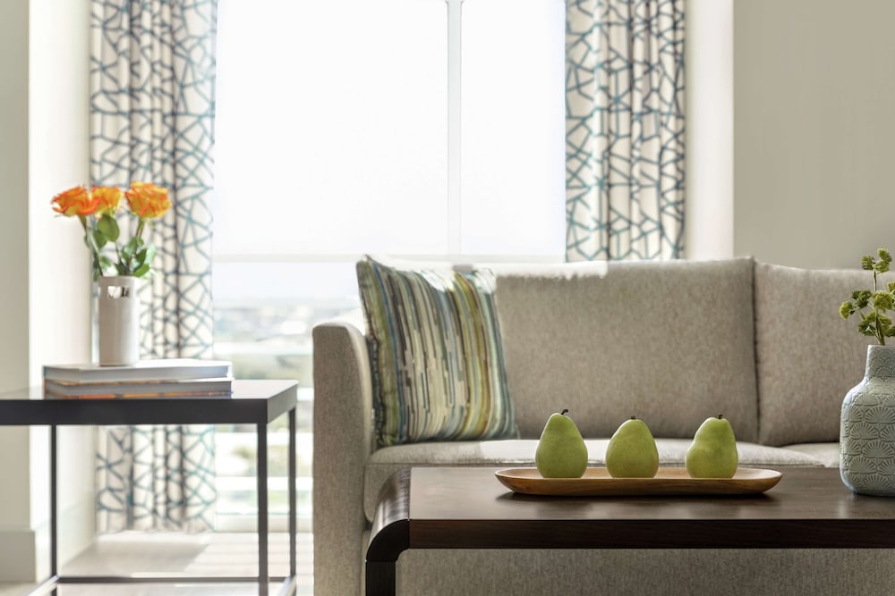 Hotel Alba Tampa Tapestry Collection By Hilton 45/64