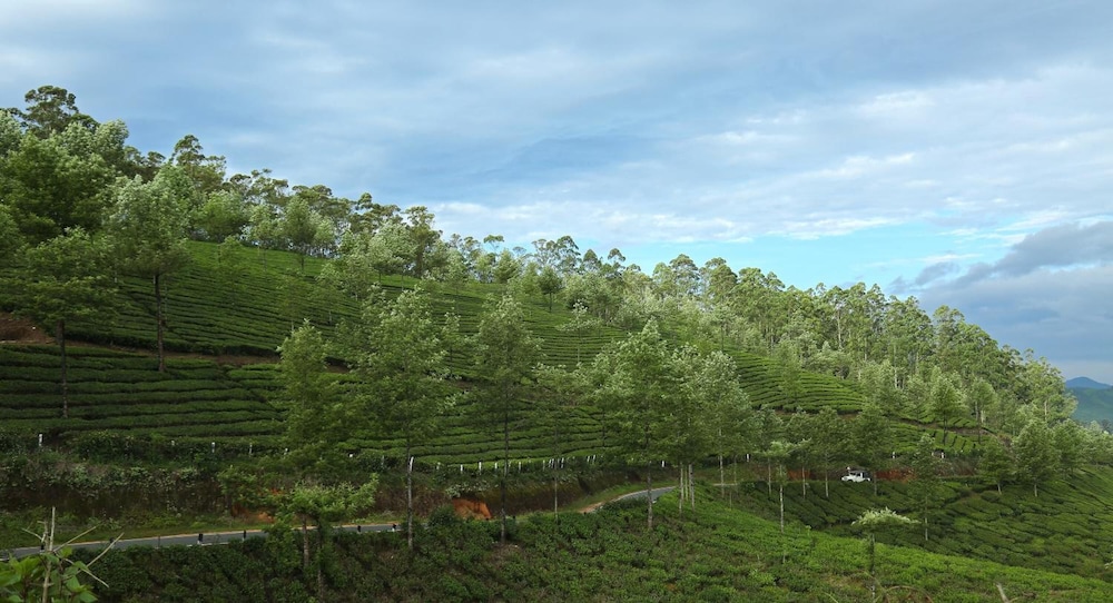 ELYSIUM GARDENS 33/44