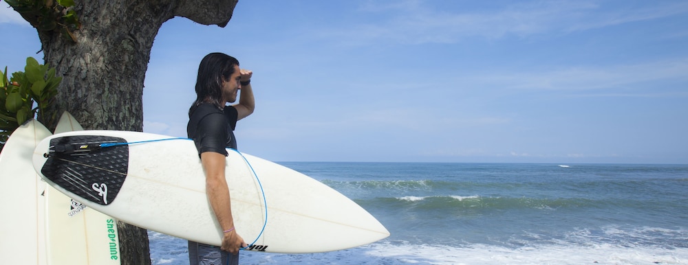 Pondok Pitaya Hotel Surfing & Yoga 45/50