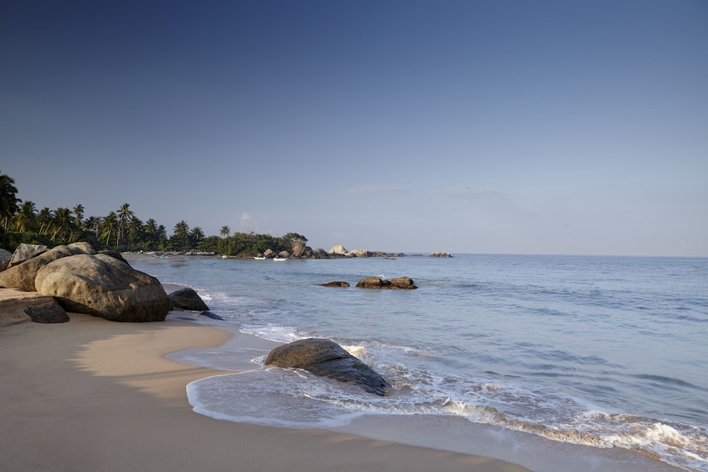 Calamansi Cove by Jetwing 43/50