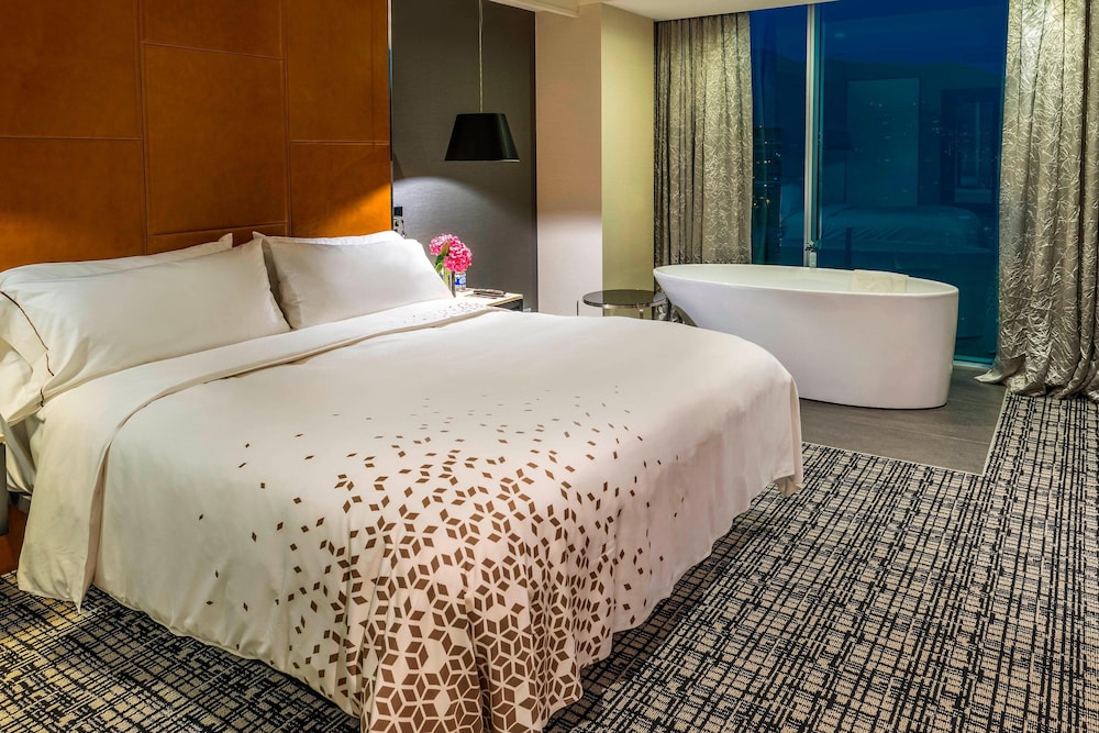 Renaissance Santiago Hotel 12/62