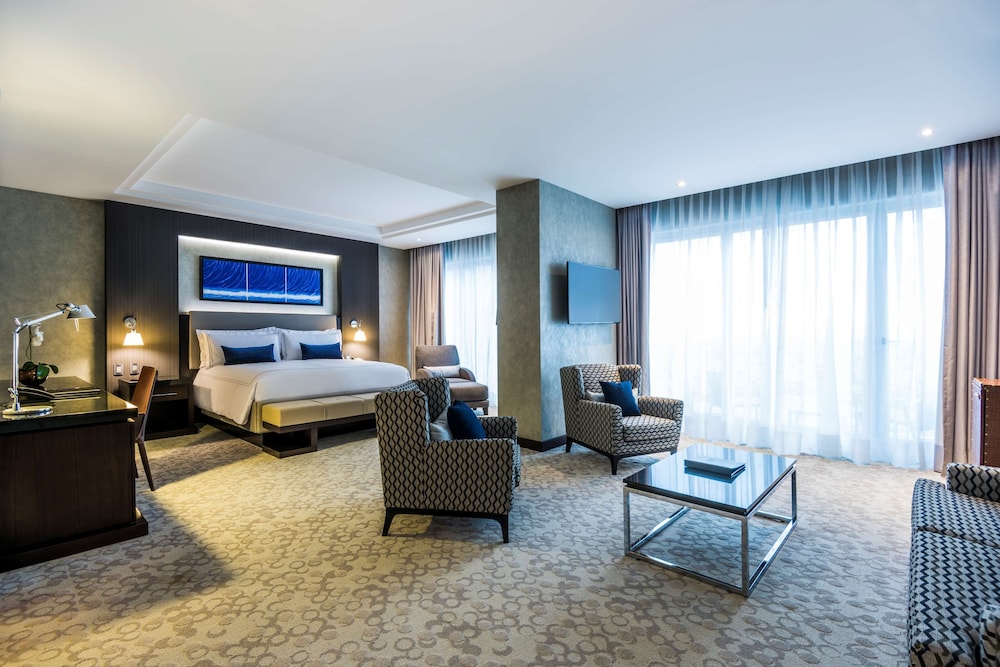 Hyatt Regency San Luis Potosi 28/74