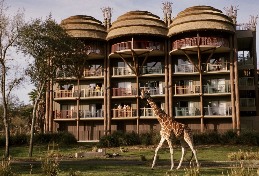 Disney Animal Kingdom Villas Jambo House 2/60