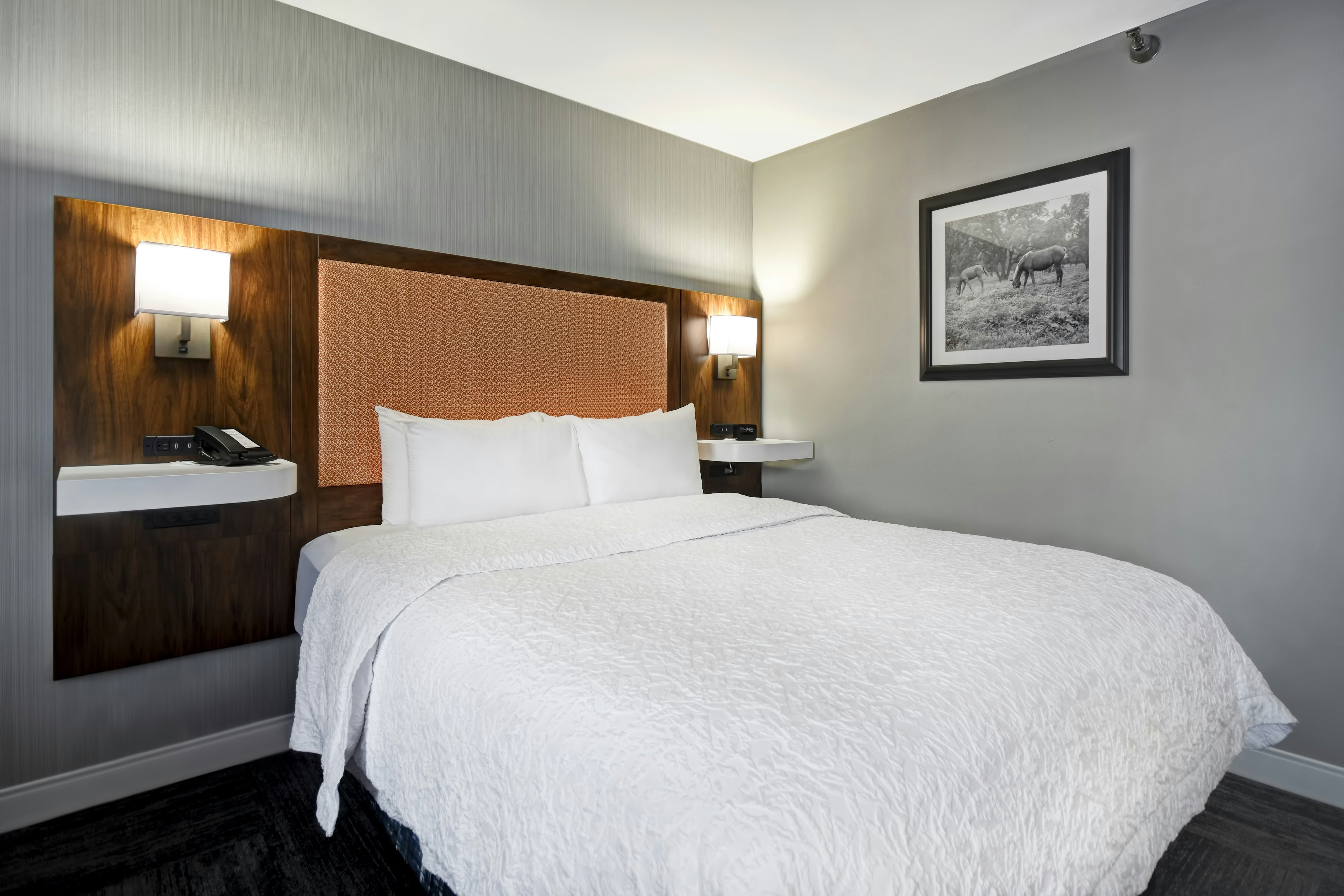 غرفة قياسية بسرير كوين، Hampton Inn I-75 Lexington Hamburg Area 2/4