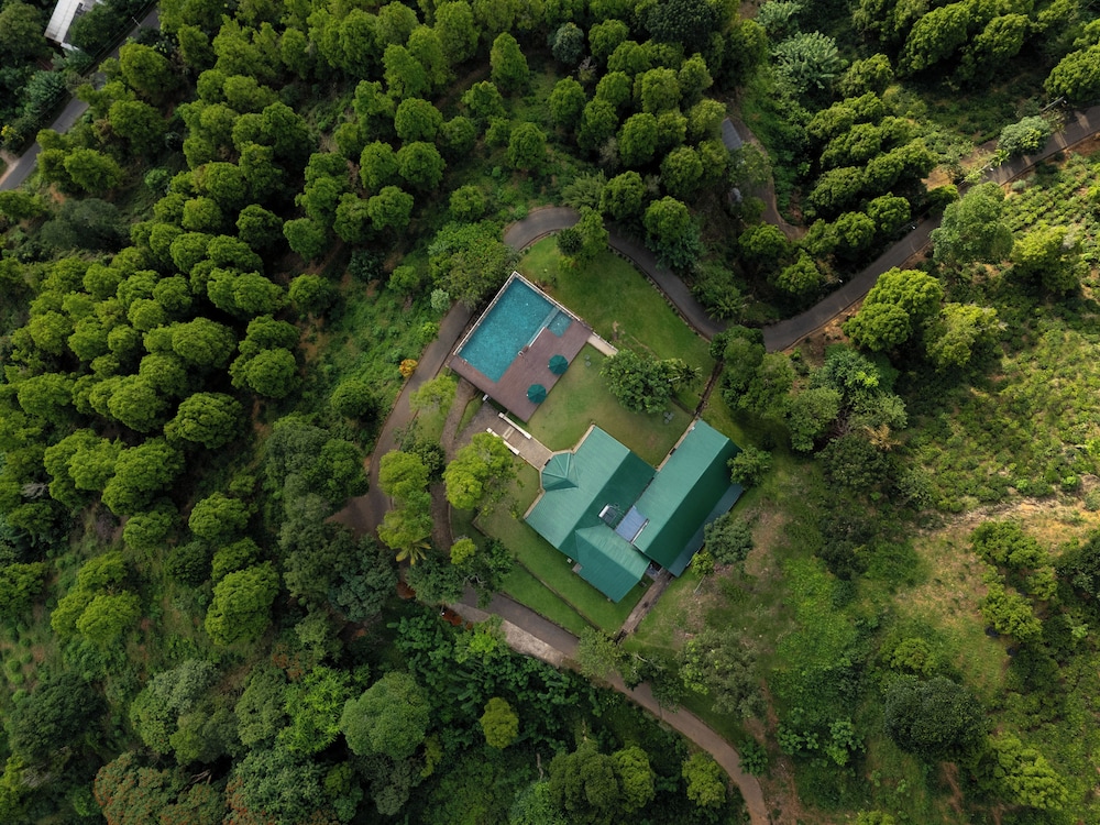 Simpsons Forest Hotel 36/41
