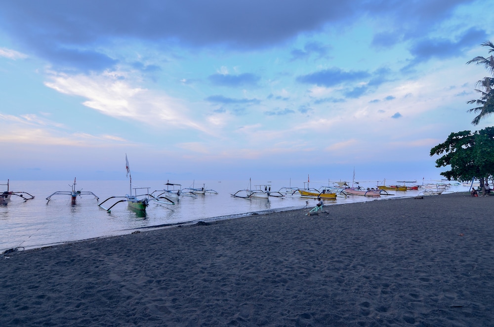Aneka Lovina Villas And Spa 15/56