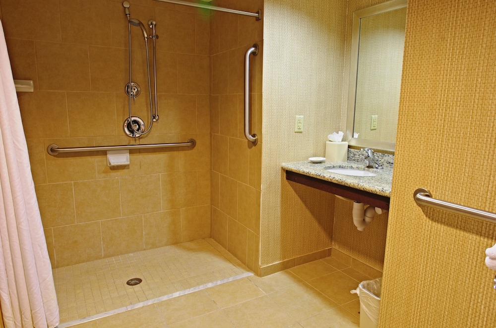 Holiday Inn & Suites Phoenix Airport 17/79