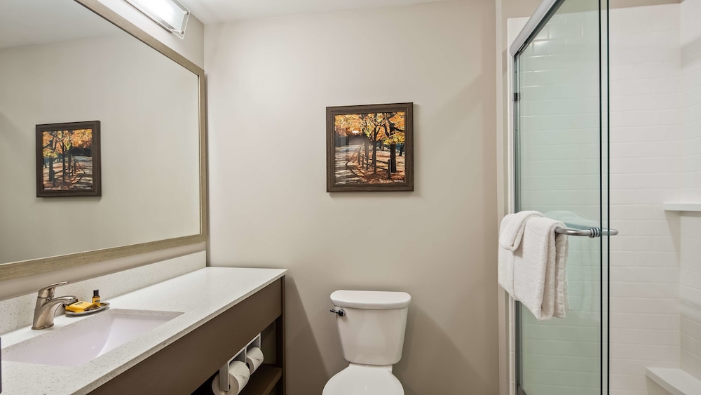 Best Western Plus Bolivar Hotel & Suites 10/46