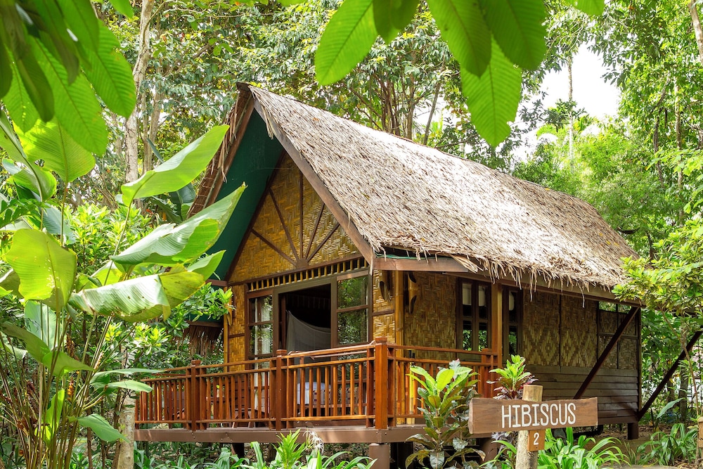 Our Jungle Camp - Eco Resort 5/75