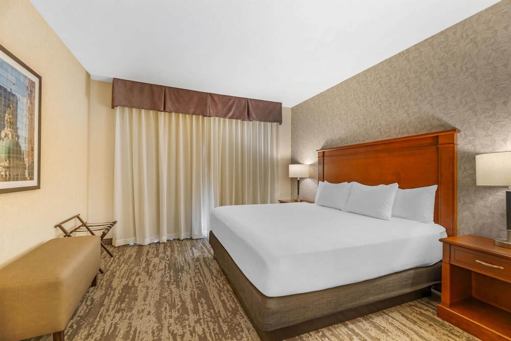Drury Inn & Suites St Louis Brentwood 13/50