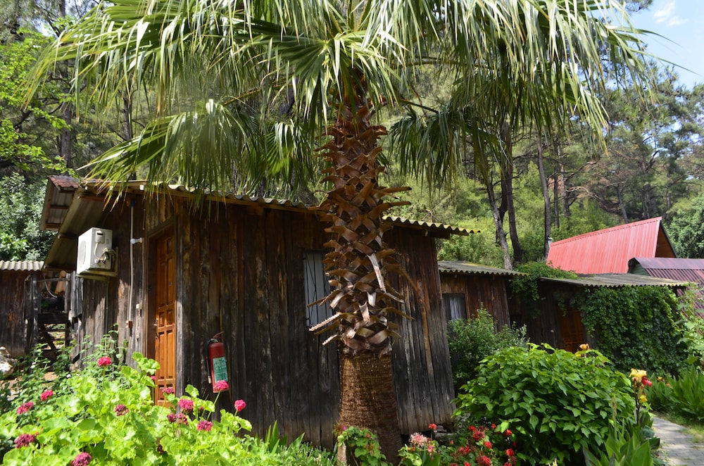 Olympos Mercan Pansiyon 45/50