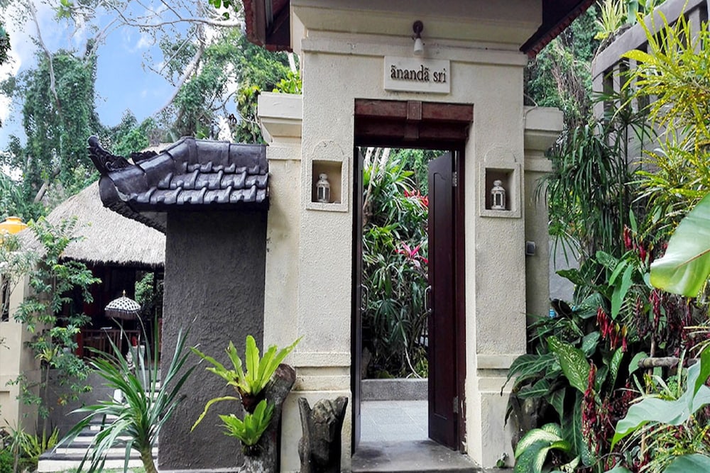 Villa Nirvana 8/81