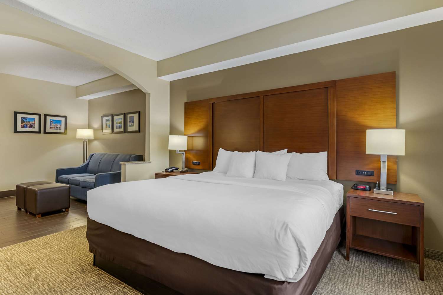 Suite, King Bed