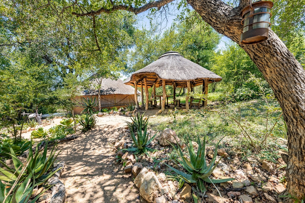 Umlani Bushcamp - Lodge 36/50