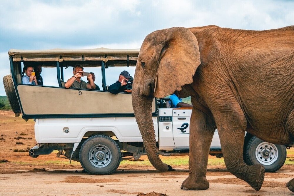 Hitgeheim Country Lodge Eco Reserve 9/50
