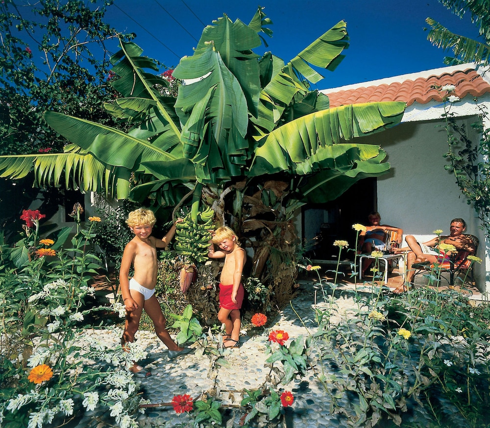 Oasis Hotel Bungalows 63/64