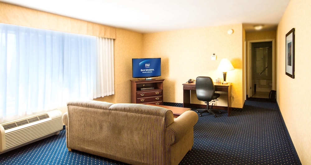 Best Western Plus Suites Downtown 28/42