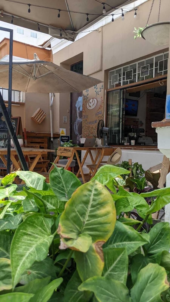 Albergue Verde 5/57