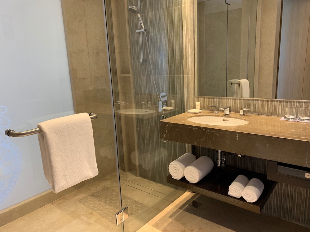 Hyatt Regency Ahmedabad 13/80