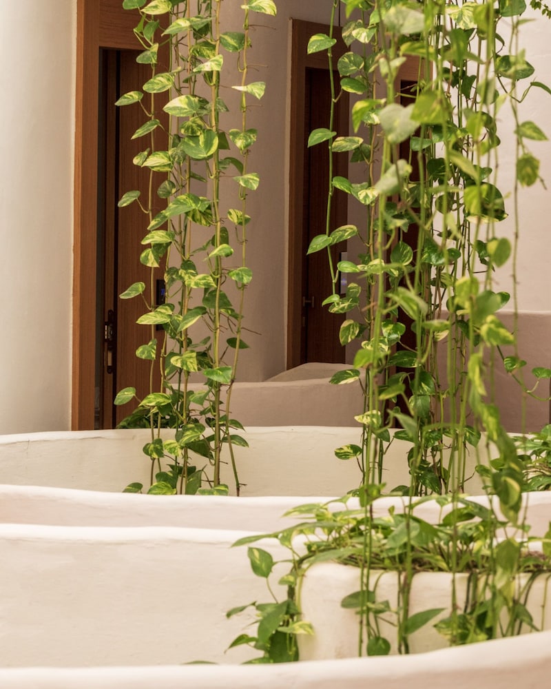 APPRODO RESORT THALASSO SPA 45/50