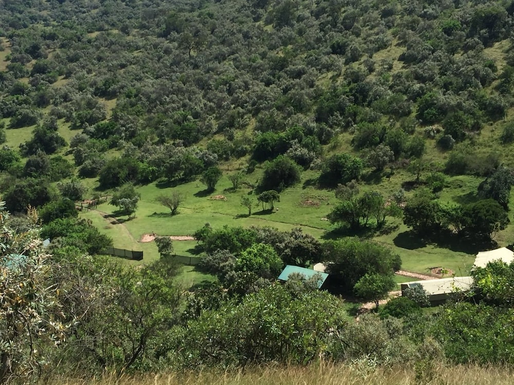 The Nubian In The Mara 24/31