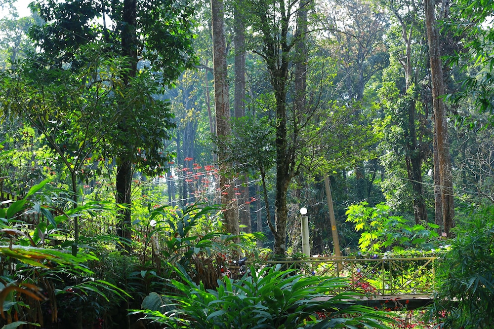 GREEN SPACES MUNNAR 42/52