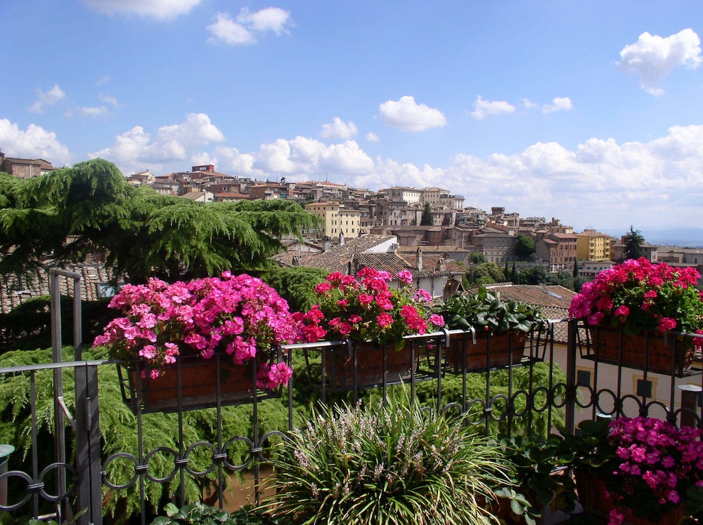 Primavera Mini Hotel photo3