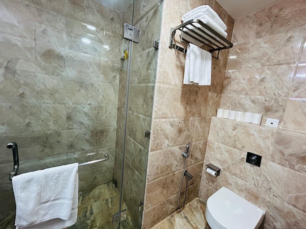 Hotel Anand International 45/46