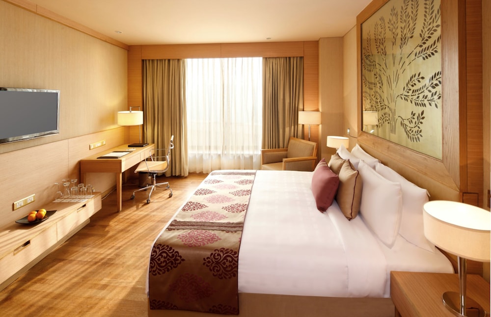 Radisson Blu Hotel, New Delhi Dwarka 17/50