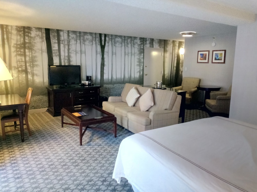 Anaheim Majestic Garden Hotel 24/73