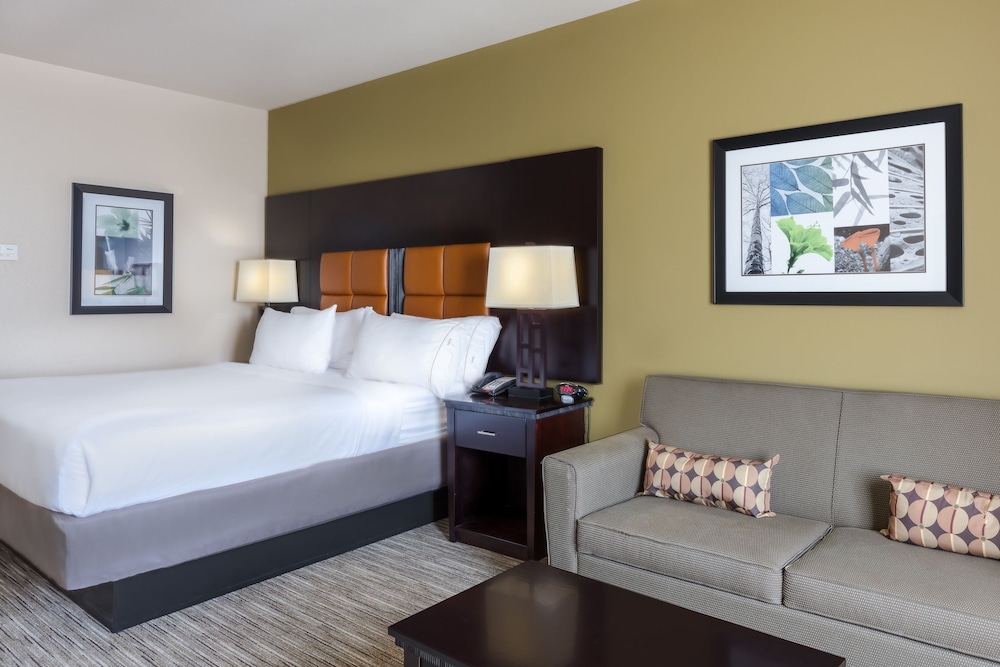 Holiday Inn Express Hotel And Suites Dallas West 11/40