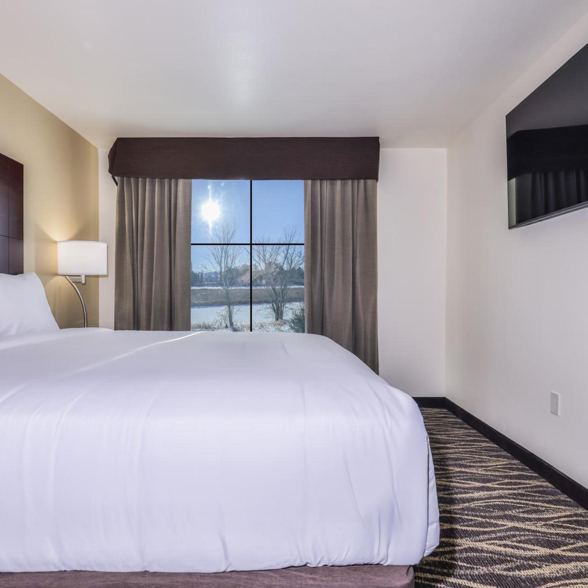 Suite, King Bed