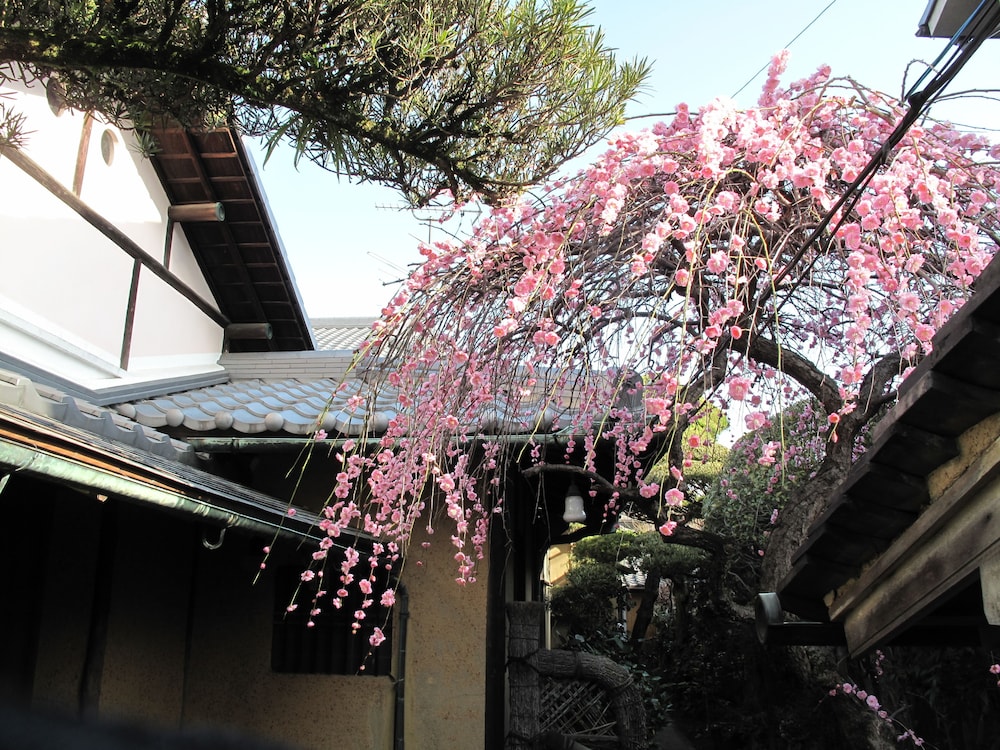 Guesthouse Nara Backpackers 18/21