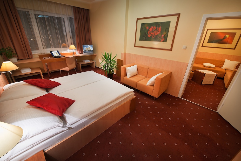 Hotel Grand Litava 18/49
