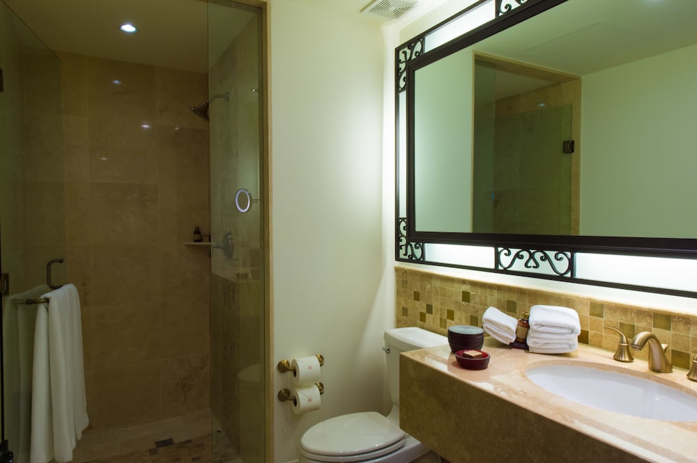 Grand Solmar Lands End Resort and Spa 19/66