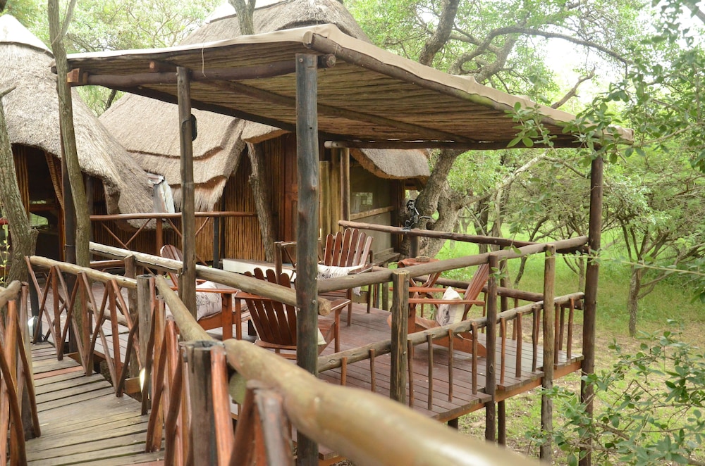 Pezulu Tree House Lodge 31/50