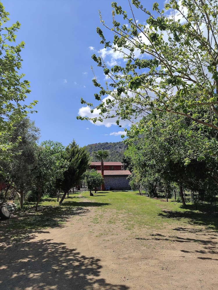 Cirali Flora Pension 29/50