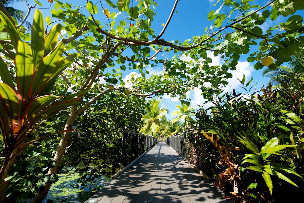 Maitai Lapita Village Huahine 50/64
