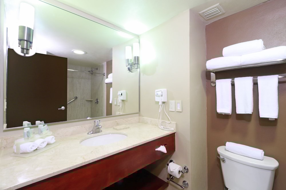 Holiday Inn Express Guadalajara Aeropuerto an IHG Hotel 20/58