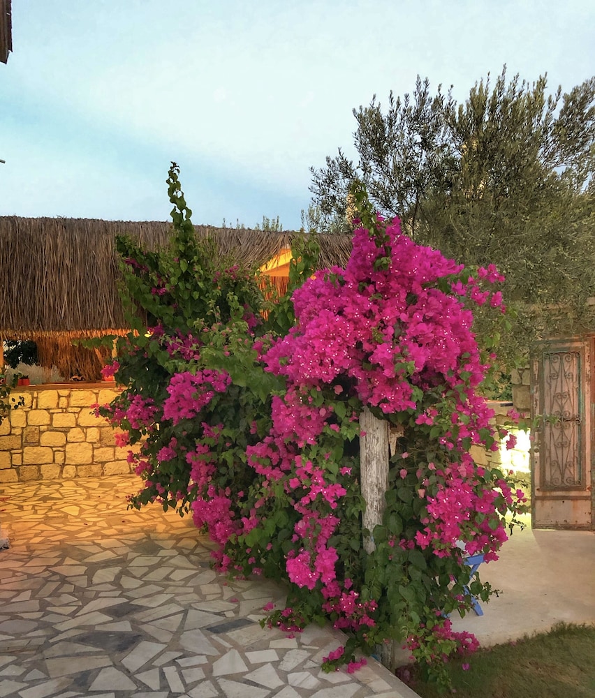 Temucin Hotel 24/34