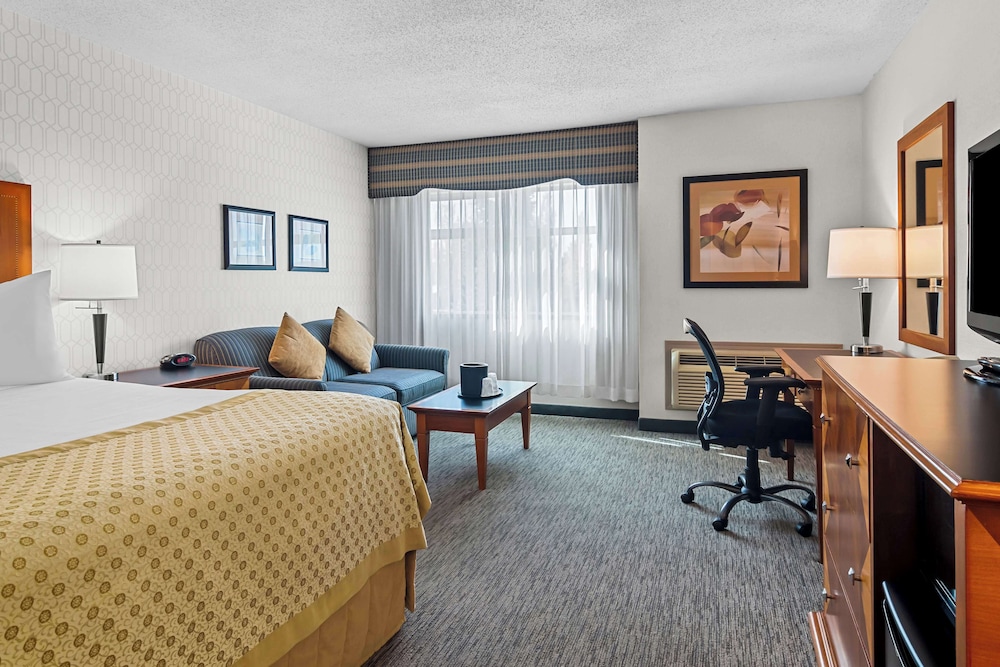 Room Assigned on Arrival, King Bed, Sofa