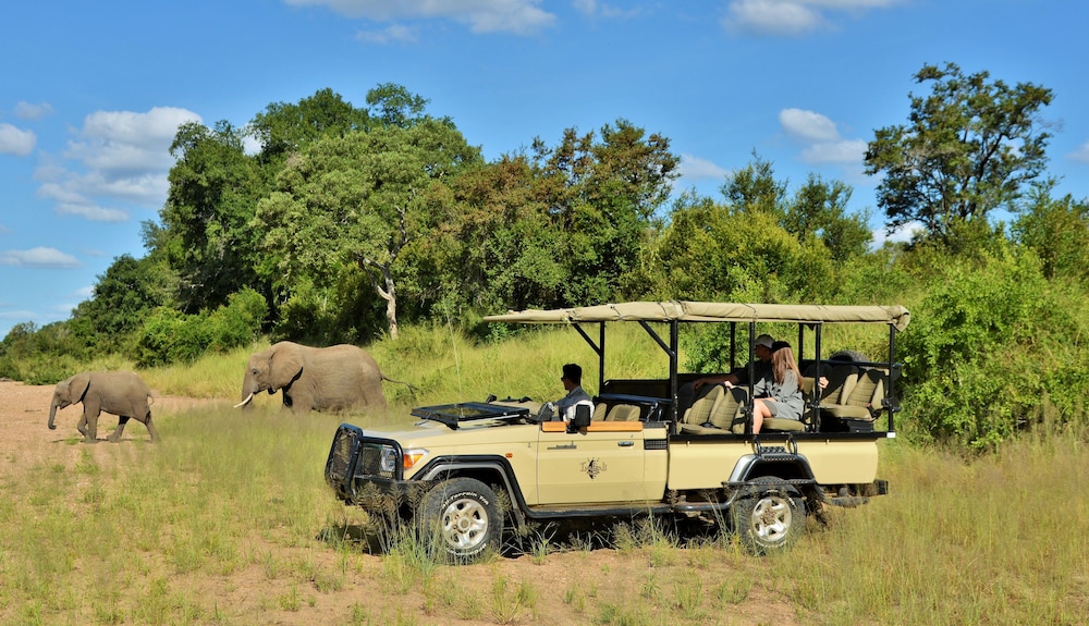 Imbali Safari Lodge 17/31
