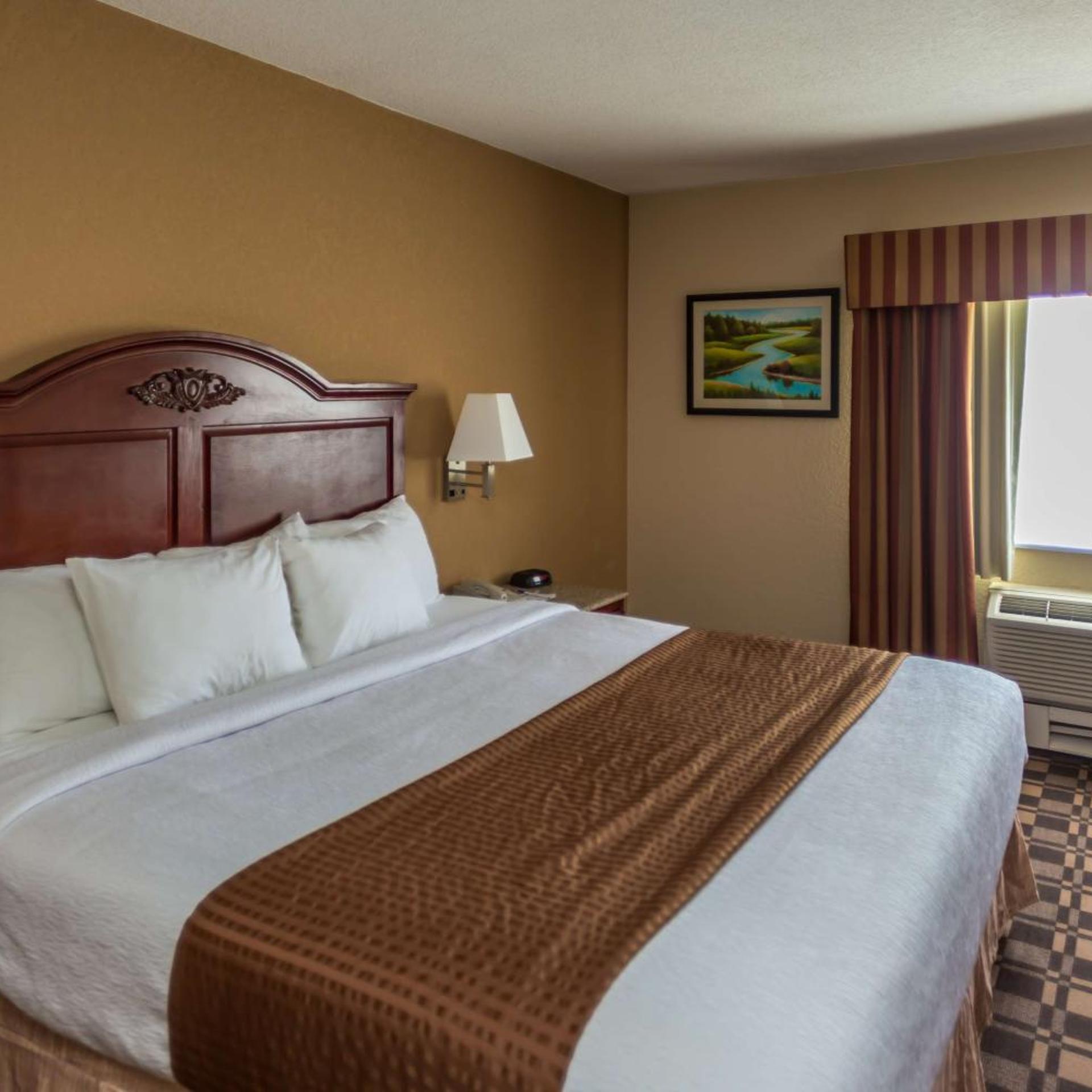 Room, King Bed, Mountain Side, Pet Friendly