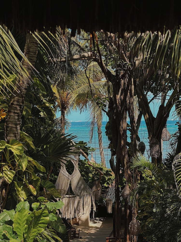 Hotel Colibri Beach 79/82