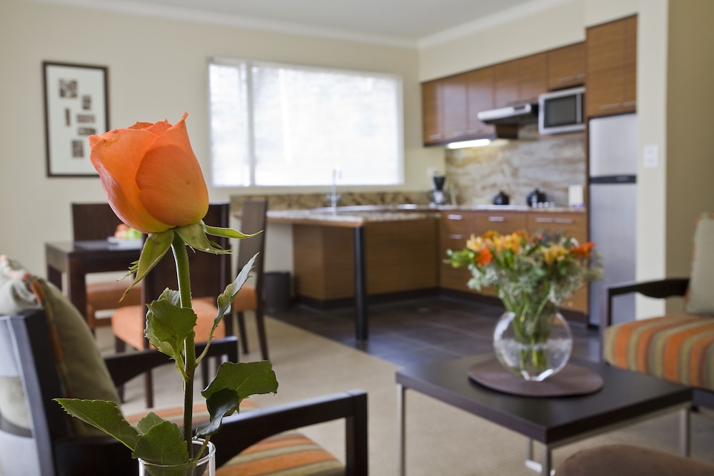 Stubel Suites and Cafe 55/69