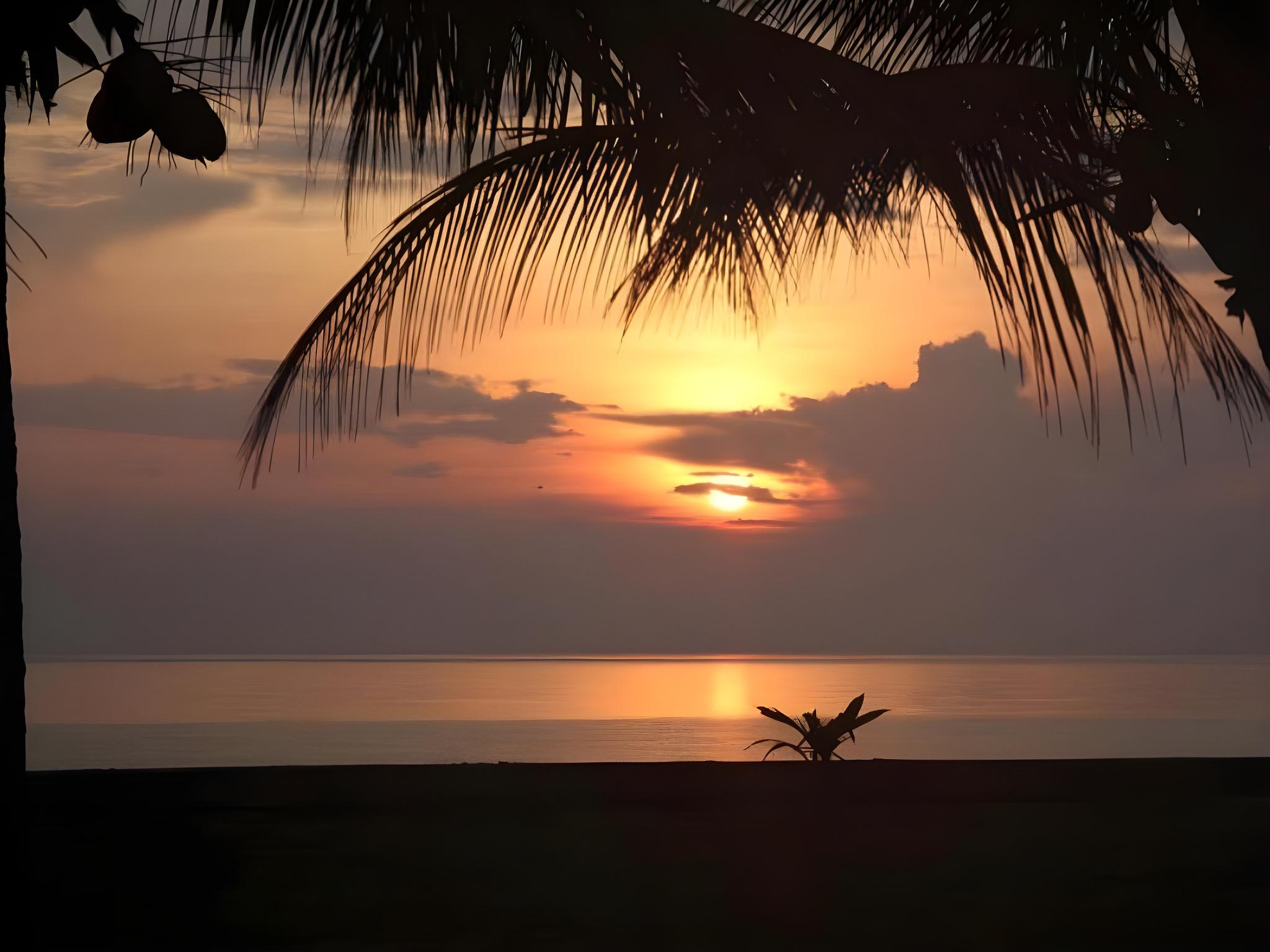Gem Beach Resort 18/26