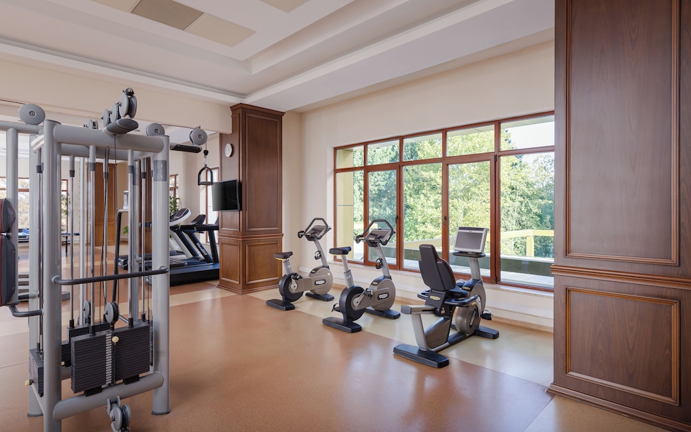 Chinar Hotel & Spa 26/50