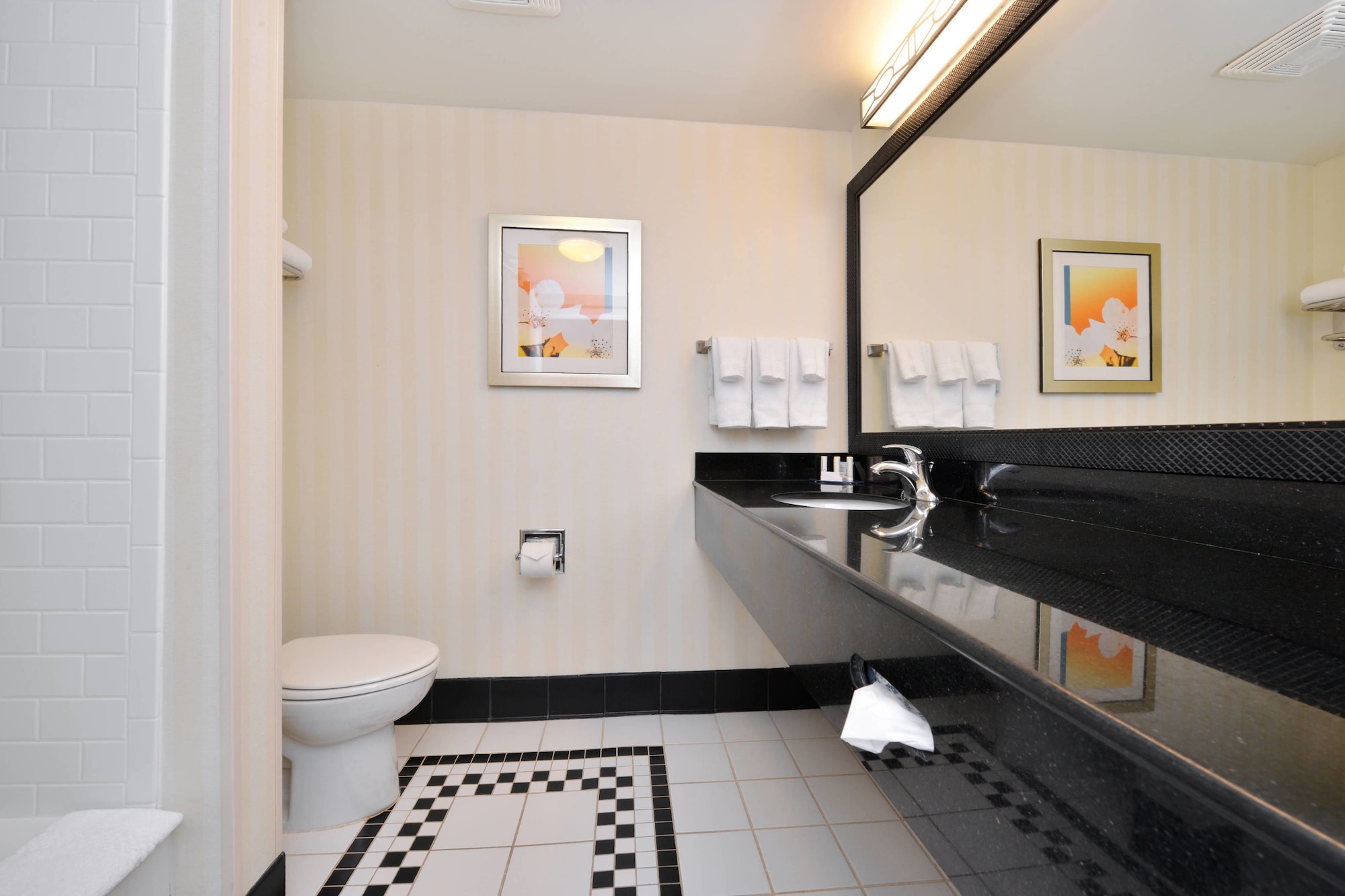 Suite, King Bed, Sofa, Fairfield Inn Suites Asheboro 3/4